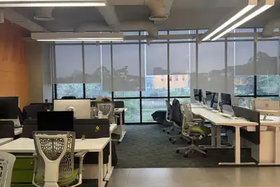 An open-plan office with rows of desks, mesh chairs and tall windows onto trees