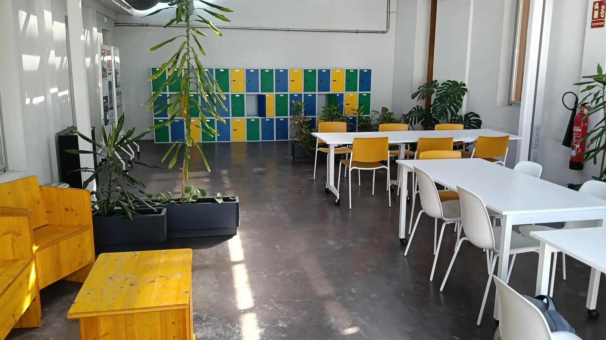 A bright shared workspace with white tables, yellow benches, potted plants and a wall of coloured lockers